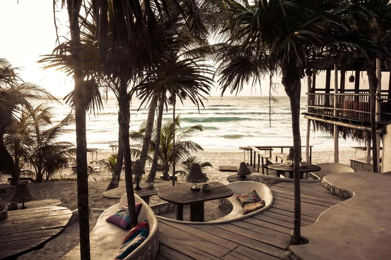 Papaya Playa Project, Tulum, A Member Of Design Hotels  Tulum