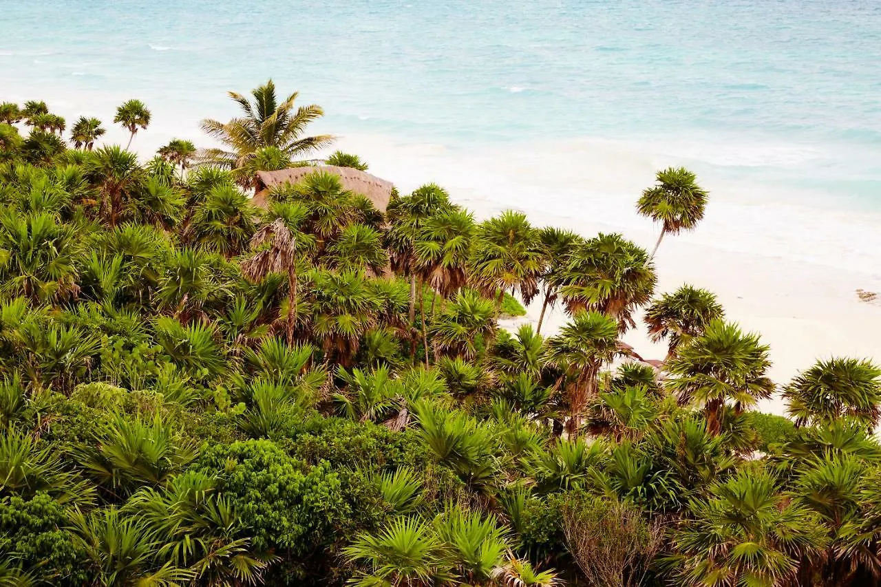Papaya Playa Project, Tulum, A Member Of Design Hotels Tulum