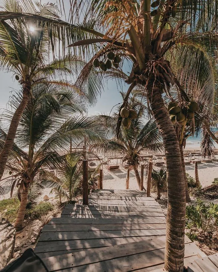 Papaya Playa Project, Tulum, A Member Of Design Hotels 5*, Tulum Mexico