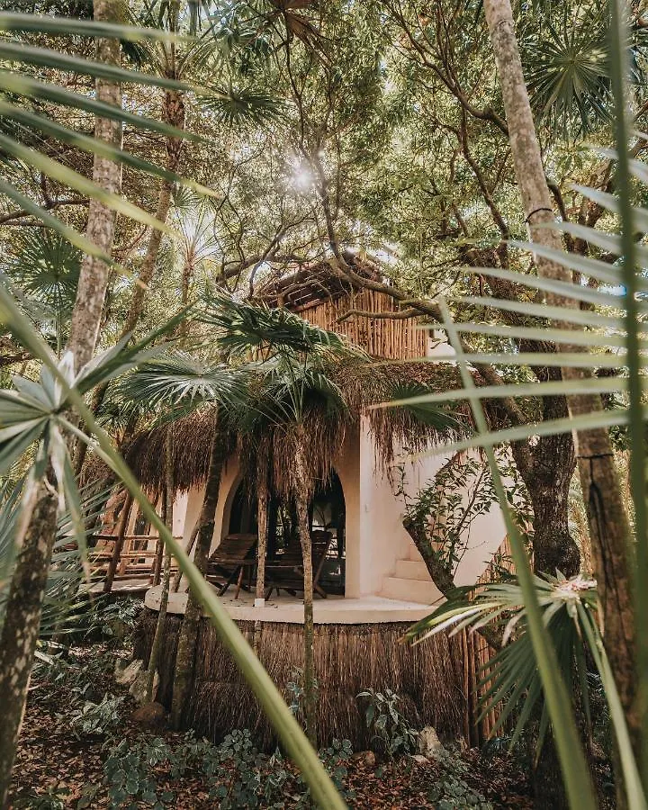 Papaya Playa Project, Tulum, A Member Of Design Hotels 5*, Tulum Meksyk